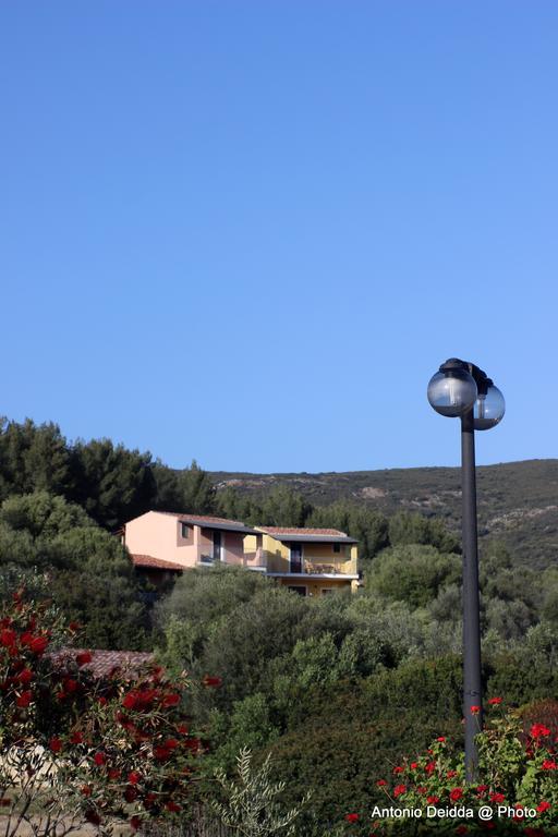 Belvedere 3*